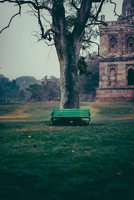 Image by Dewang Gupta