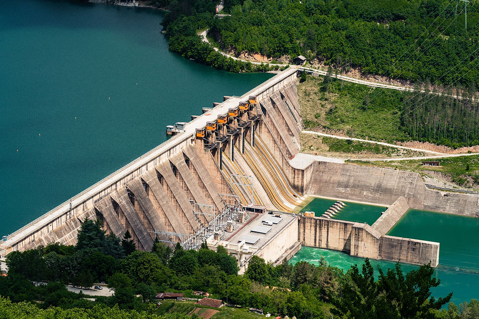 Image by Stefan Kostić