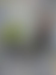 Como Identificar Golpes Financeiros: Guia Essencial para Proteger Seu Dinheiro