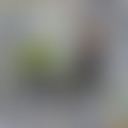 La idiosincrasia uruguaya ¿cómo somos? 