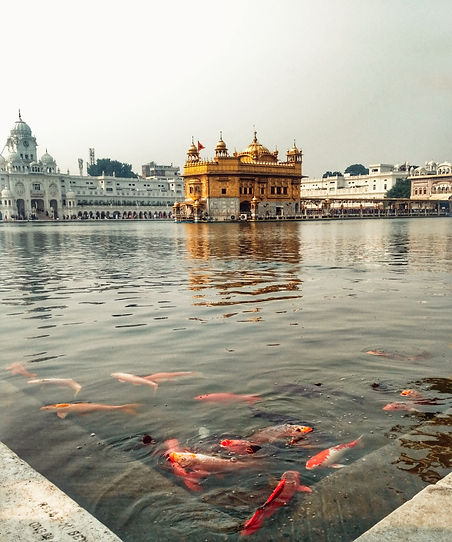 Image by Prerna Sharma