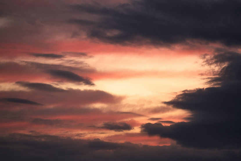 Image by Wolfgang Hasselmann