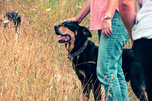 Image by Katelyn Greer