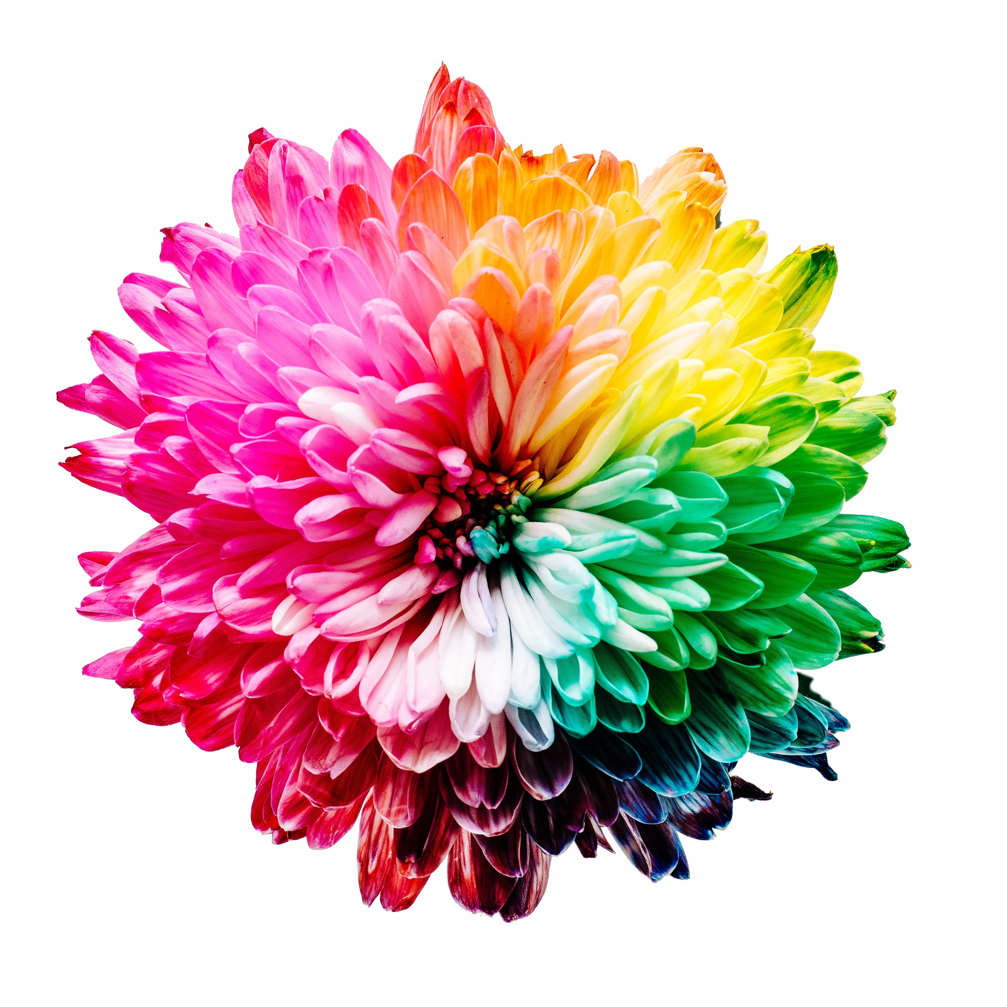 Chakra Colors