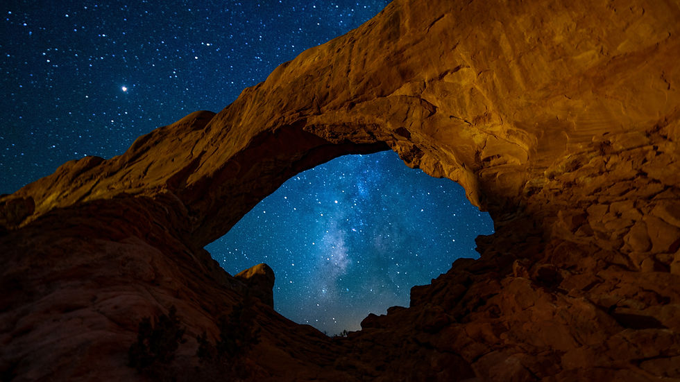 Image by Tom Gainor