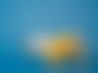 11. Target Audience Profile