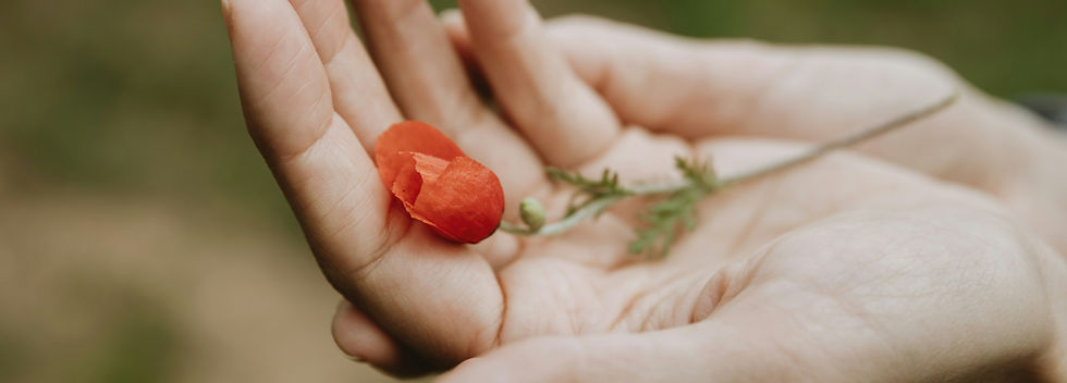 Image by Tomas Hudolin