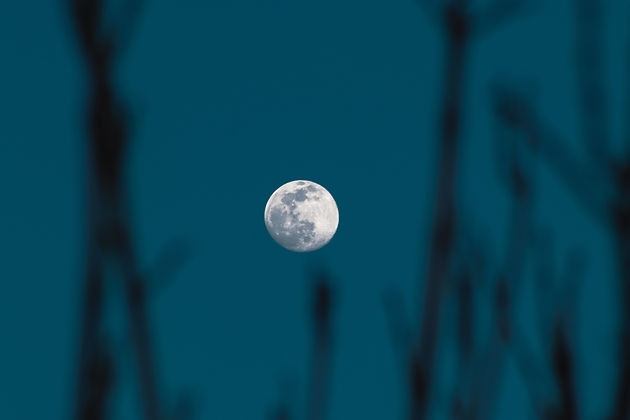 Image by Ebrar Şahin
