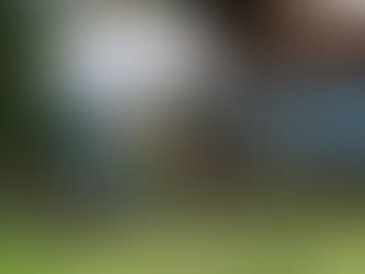 Beekeeping 101: Getting Started