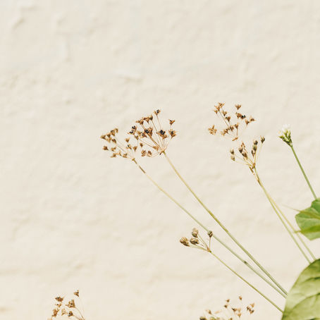 Final Product Progression