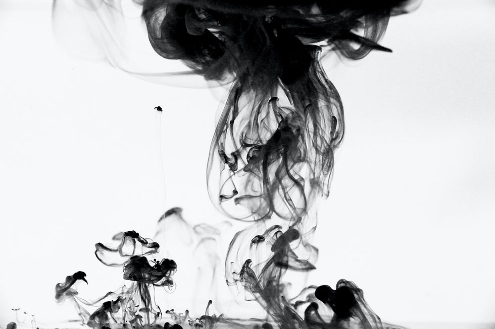 Image by Katrin Hauf