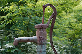 Image by Vedrana Filipović