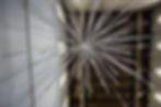 Image de Julia Taubitz