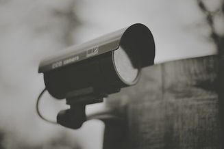 Image by Joe Gadd