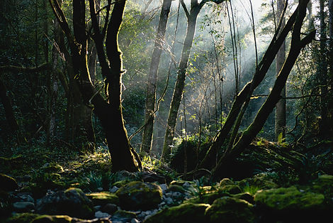 Image by moreau tokyo