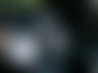 The Most Important Part of Wildlife Photography That No One Talks About: Backing Up Your Images