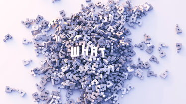 'What' ile ilgili Cümleler