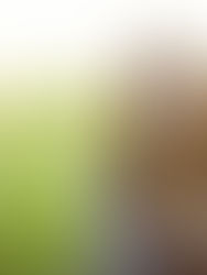 How to keep your mind fit?