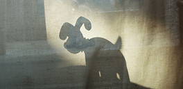 Image by Barney Goodman