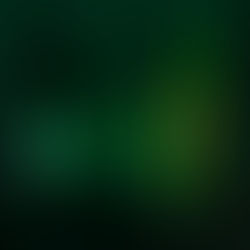 Ateş Böceklerinin Nesli mi Tükeniyor?