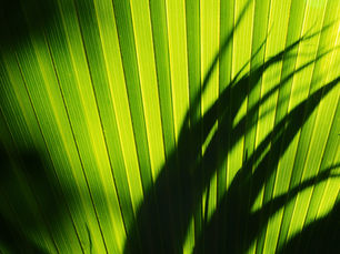 The Importance of Ethics and Sustainability in Fabric Manufacturing