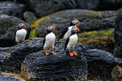 Islande