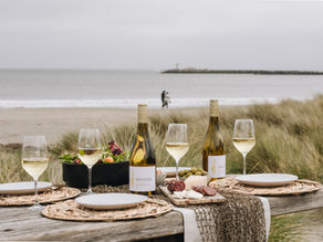 Vin bio : quelles différences avec le vin classique?