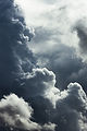 Image by Bing Hui Yau