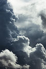 Image by Bing Hui Yau
