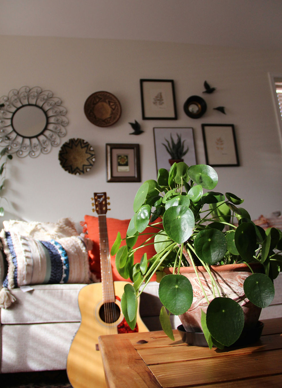 Sunlit living room with a potted pilea on a wooden table, guitar by a couch, and framed wall art.