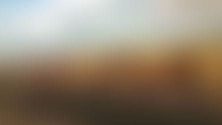 Market Report 06/24/2024