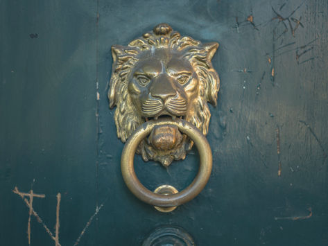 The Lion's Den