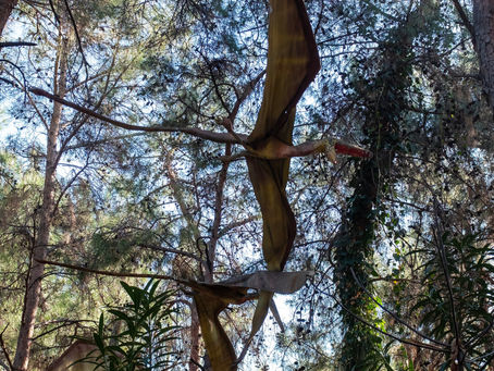 Recent Pterodactyl Sighting in Kansas