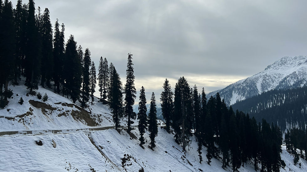 Jibhi Tirthan Valley during the winters