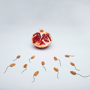 fruit representing sperm running towards egg
