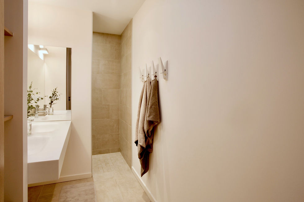 Dark color bathroom ideas