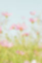 Image de J Lee