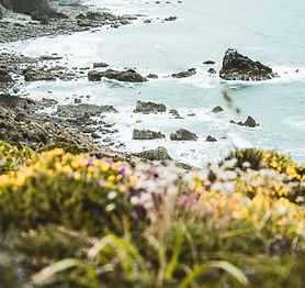 Image by Annie Spratt