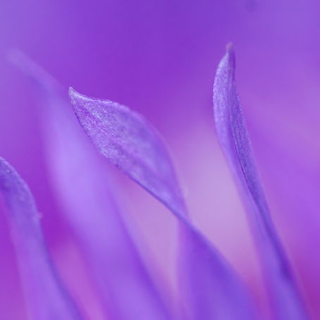 💜 When the Accuser Looks Away: A Gentle Conversation on Abuse