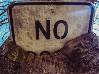 What Rejection Teaches Writers