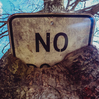 The Difference Between Rejection and Not Being Chosen