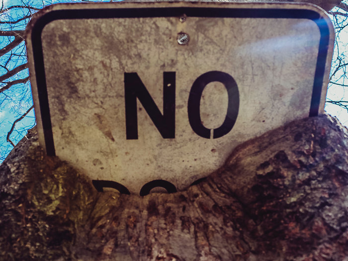 Weathered sign reading NO among tree roots