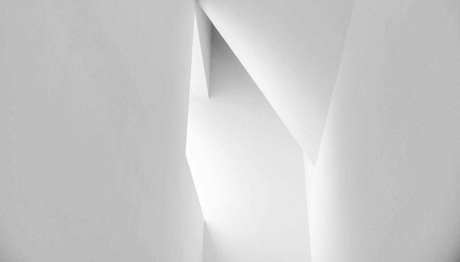Image by Fernando Lavin