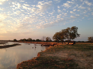 Equity in Conservation: Lessons from North Luangwa's Co-Governanve Experience