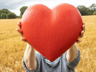 Heart