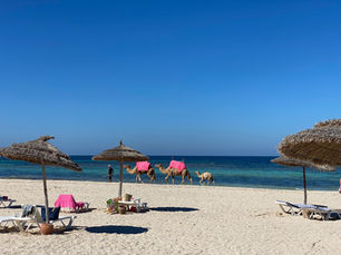 Vente d'une Villa Djerba : Comment rapatrier vos fonds en Euros "Guide étape par étapes''