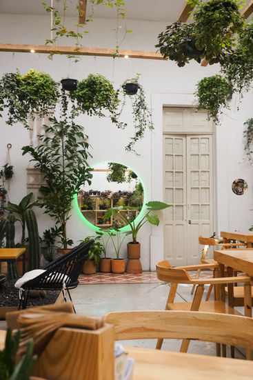 Cafe plants 