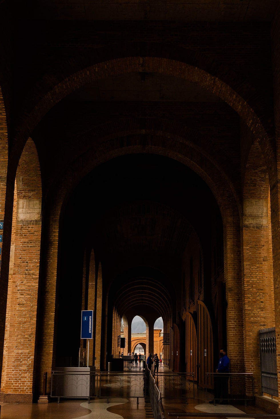 Image by Samu Silva