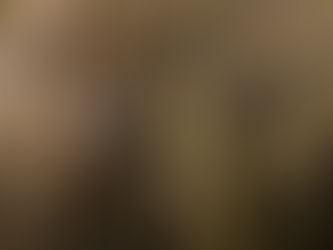 Pica-pau com crista vermelha em tronco rugoso. Fundo marrom claro destaca o padrão preto e branco do pássaro. Atmosfera calma.