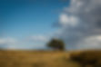 Image by Tom Winckels